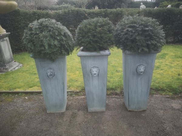 A set of three zinc coated steel planters modern each with topiary yew the planter 90cm high