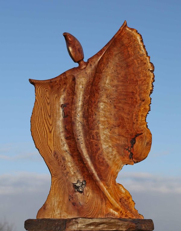 Michael McManus Burr Elm Angel Unique 91cm high by 62cm wide by 27cm deep