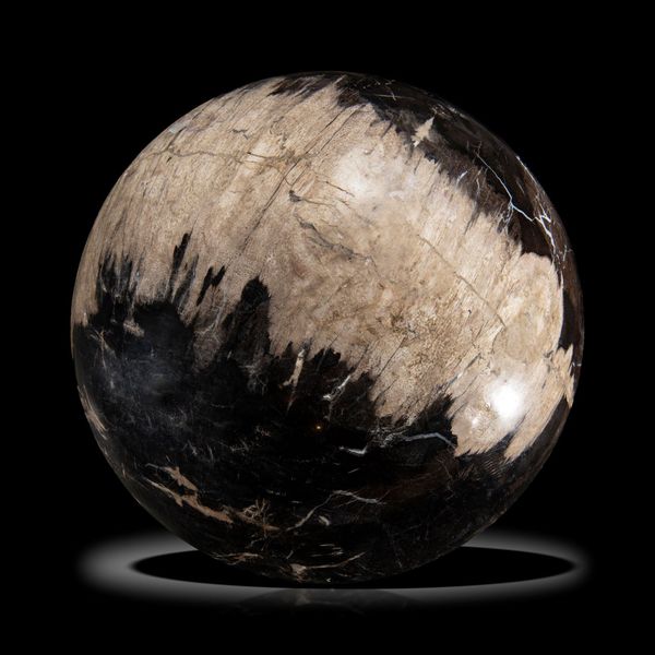 A large fossil wood sphere