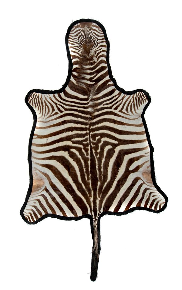 A zebra skin modern 260cm by 160cm