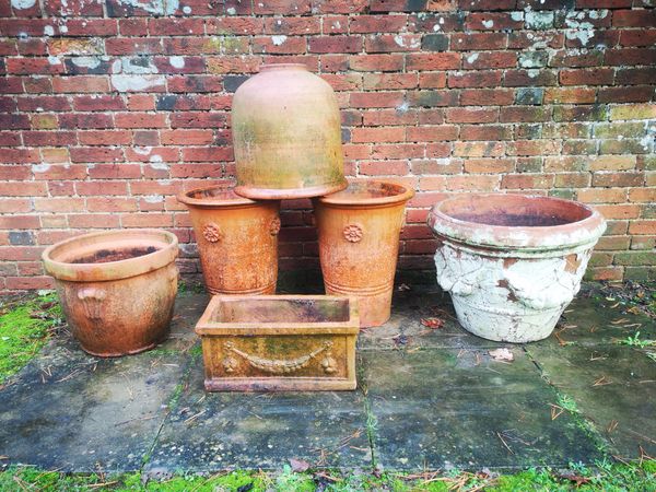 A collection of terracotta planters and a forcer 20th century  the largest pair of pots 55cm high