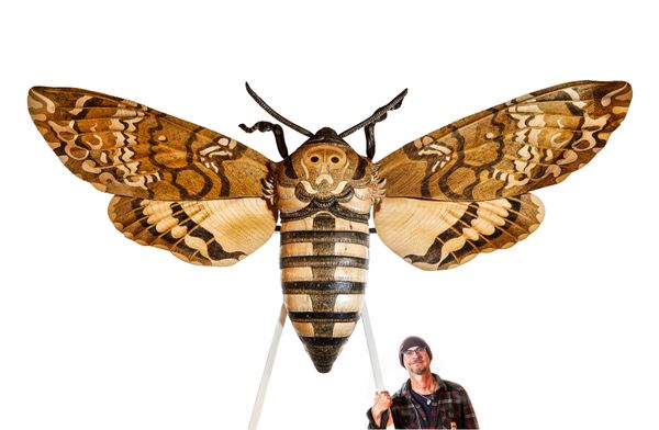 Alex Jones Death‘s-head Hawkmoth Oak, limewood and maple Unique 165cm high by 360cm wide by 78cm deep