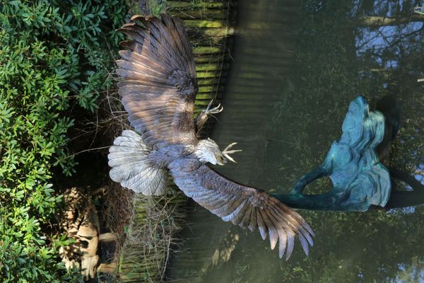 John Cox American bald eagle Bronze 190cm high by 190cm wide by 70cm deep