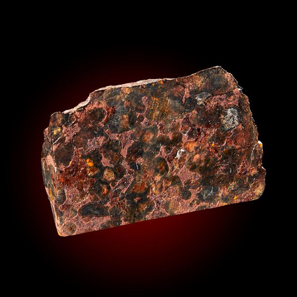 A Pallasite meteorite end slice Sericho Fall 8cm by 5cm, 205g