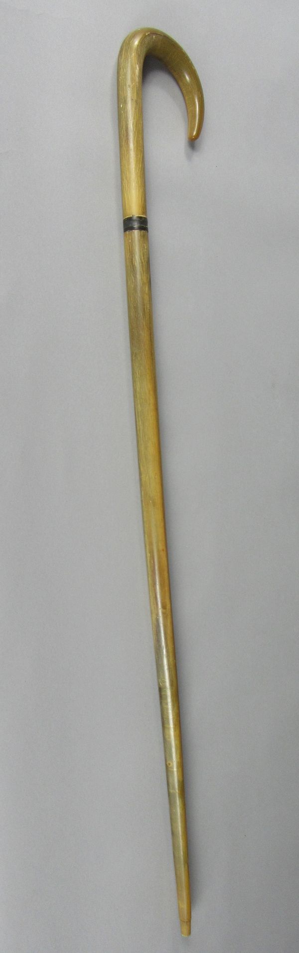 A rhinoceros horn walking stick late 19th century  84cm long