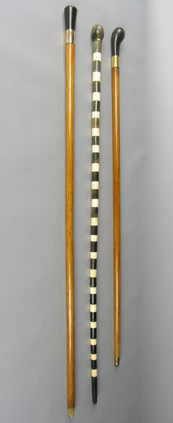 A bone and horn cane late 19th century with two horn topped canes