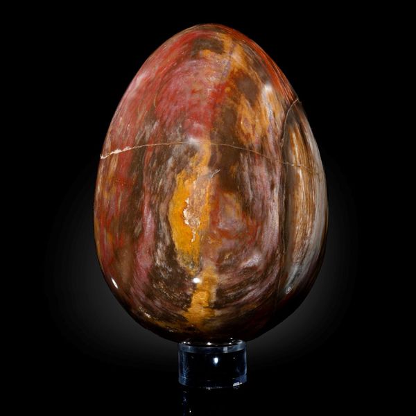 A large fossil wood egg Madagascar, Triassic 20cm high