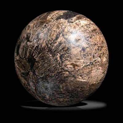 A large fossil Lepidodendrom wood sphere Pensylvania, USA, Carboniferous,  18cm diameter Lepidodendrom was one of the commonest trees in the...