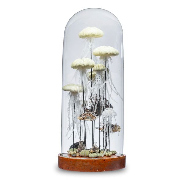 A large antique dome with composition green sea urchins as jellyfish with fish comprising a jellyfish colony with reef fish composed out of sea...