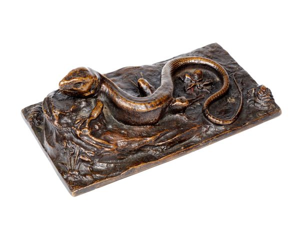 A bronze lizard French, late 19th century 18cm long by 10cm wide