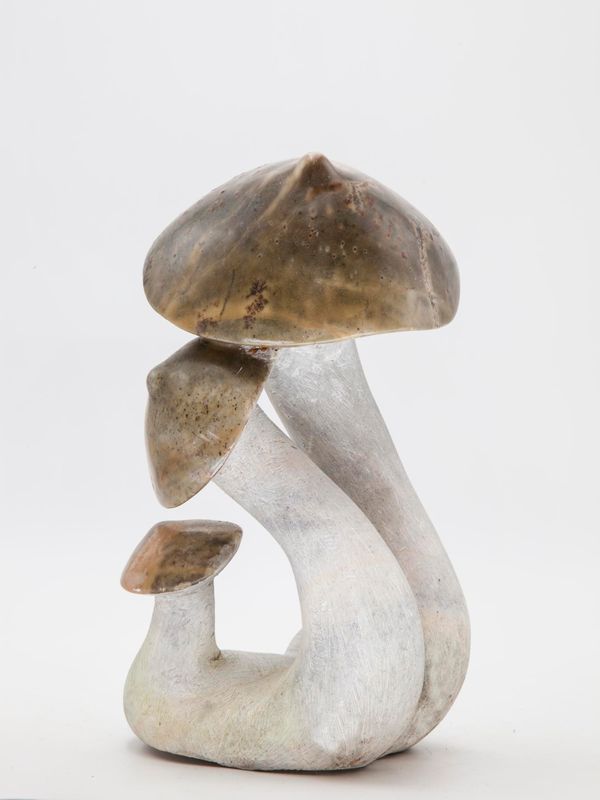 Simon Chidharara Mushrooms Serpentine stone Signed Unique 29.5cm by 20cm wide by 18.5cm deep
