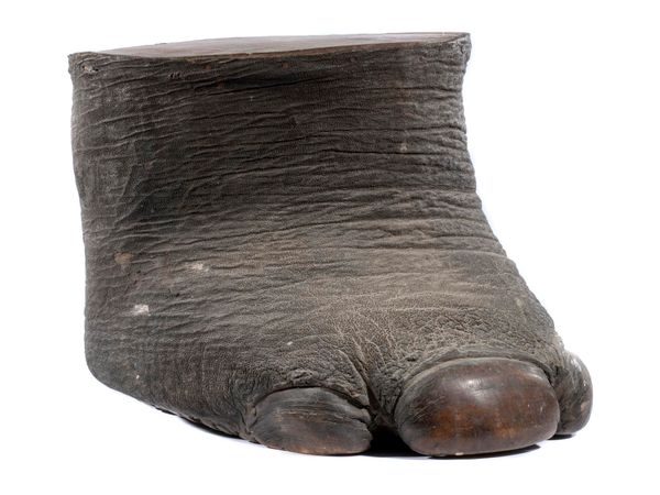An elephant foot stool circa 1900 37cm high
