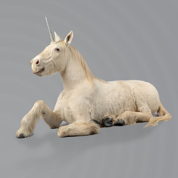 A full mount "Unicorn"