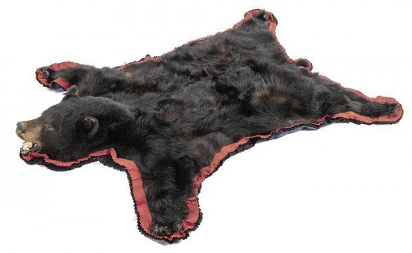 A black bear skin by Steve Kulash