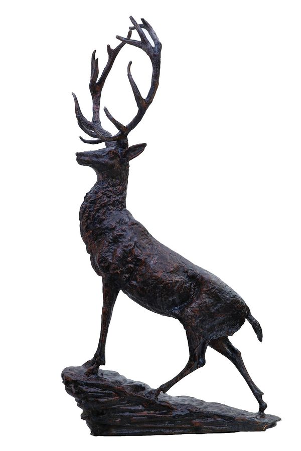 Stag on a Craggy Rock