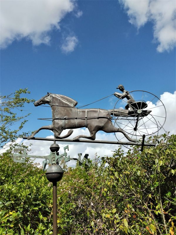 A copper and wrought iron weathervane