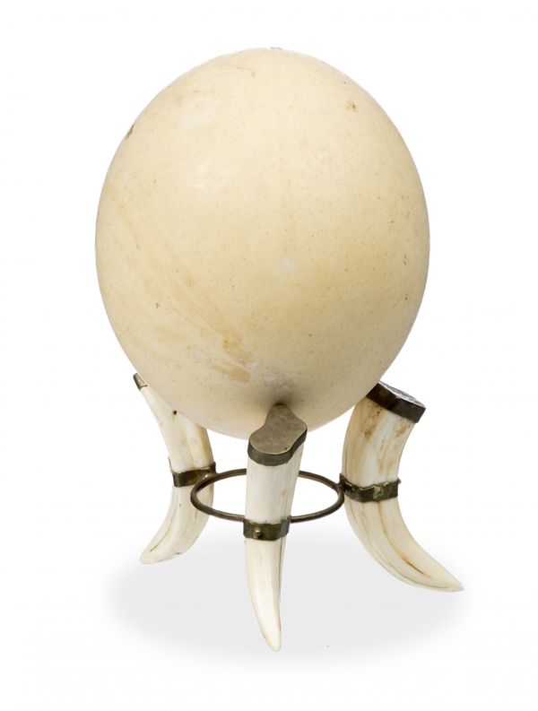 An Ostrich Egg on Warthog Tusk stand