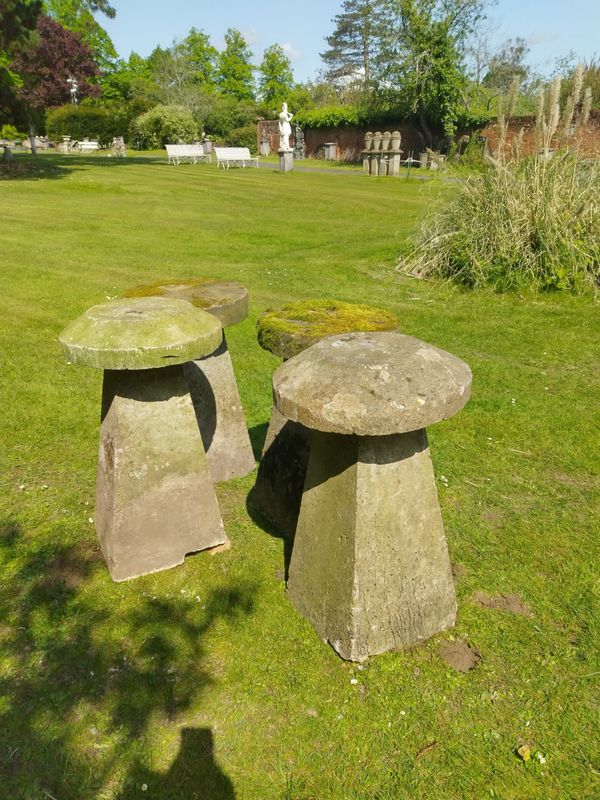A set of four sandstone staddlestones with composition bases