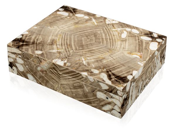 A 'peanut' petrified wood veneered box