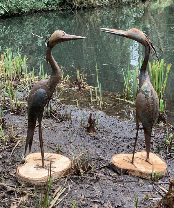 A pair of Storks