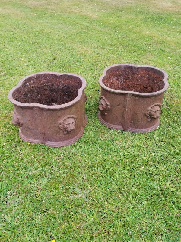 A pair of cast iron lobed planters