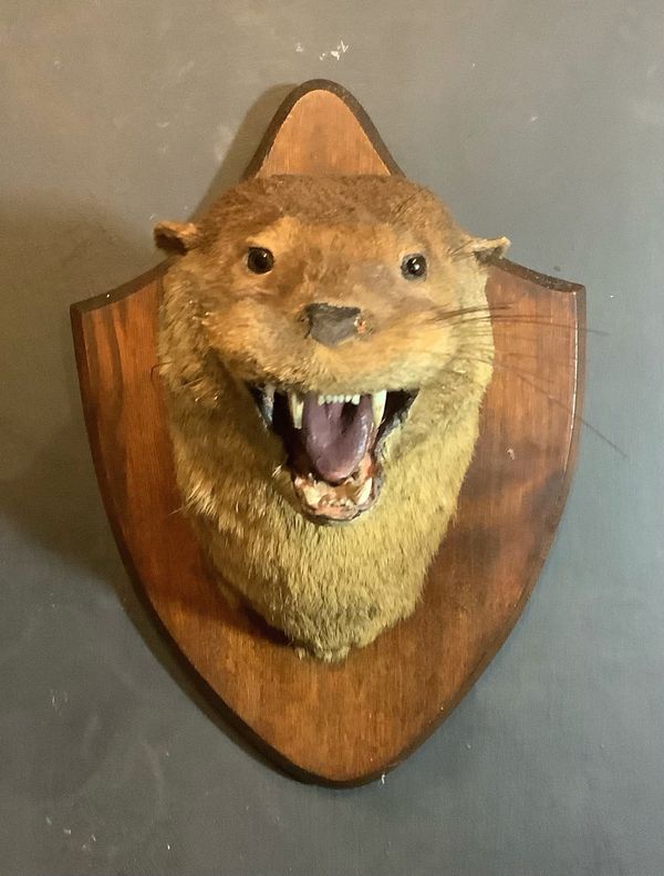 An Otter Mask by P Spicer of Leamington Spa