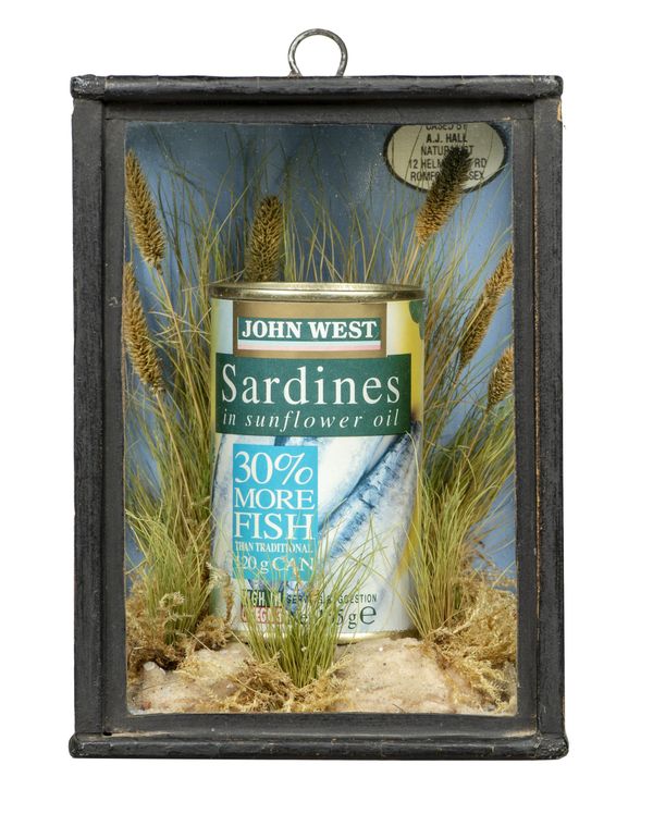 A case of sardines