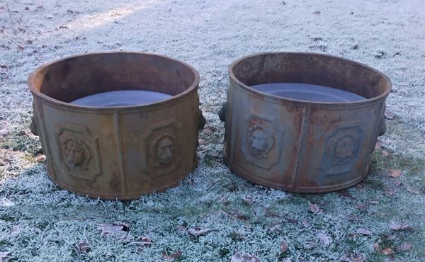 A pair of cast iron planters