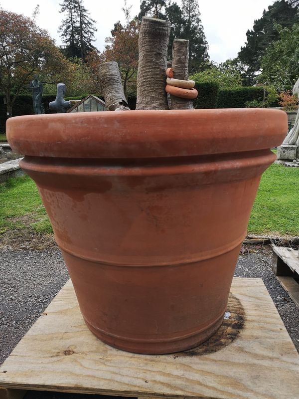 A single terracotta planter