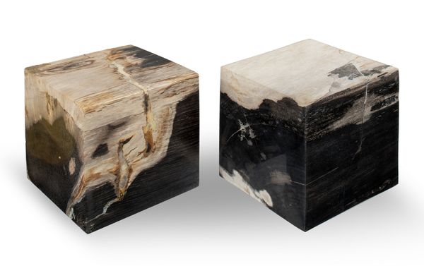 A pair of petrified wood cubes
