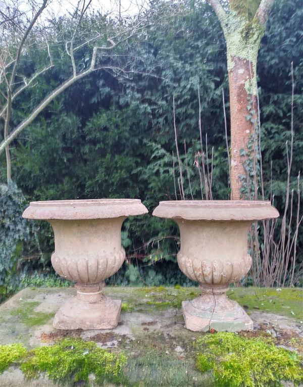 A pair of terracotta urns