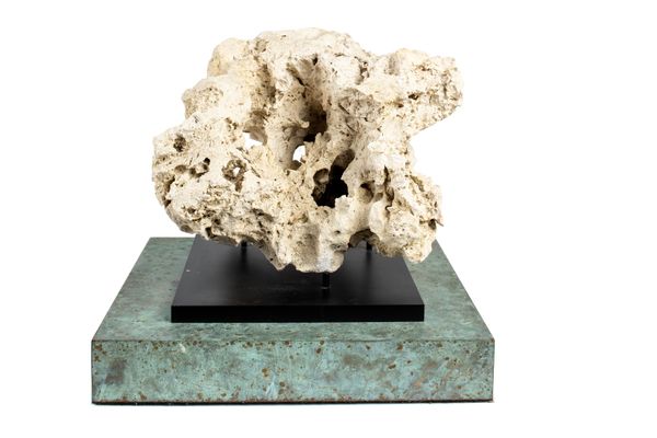 A fossilised coral specimen on bronze stand