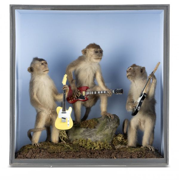 A case of three Monkeys playing guitars