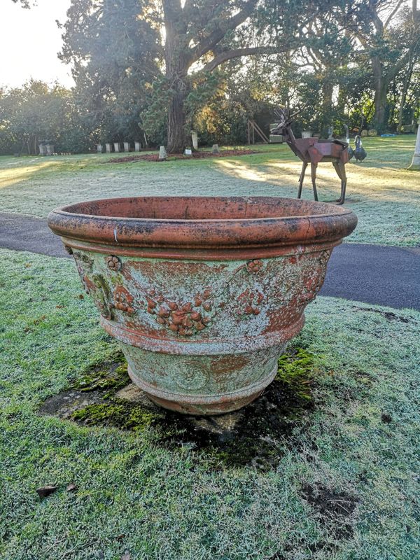 A particularly large terracotta citrus planter