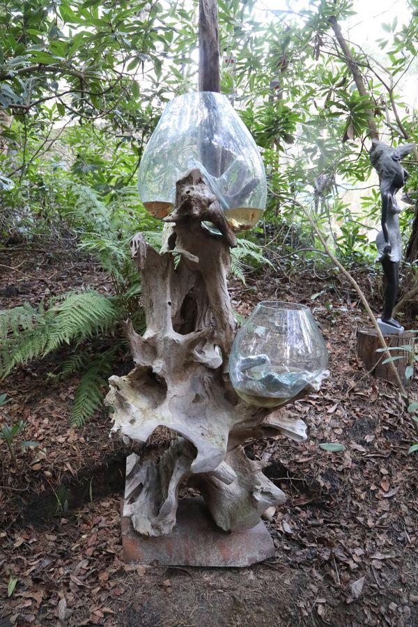 Teak root sculpture with two molten glass bowls