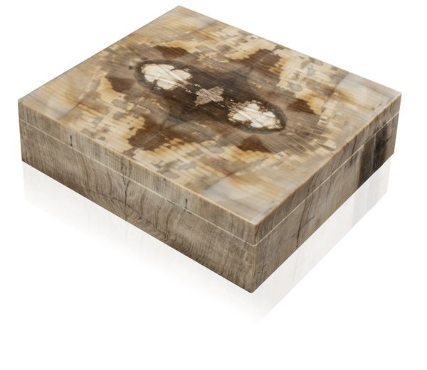 A petrified wood veneered box