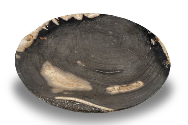 A petrified wood platter