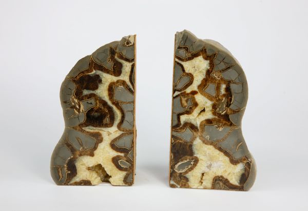 A pair of Septarian bookends