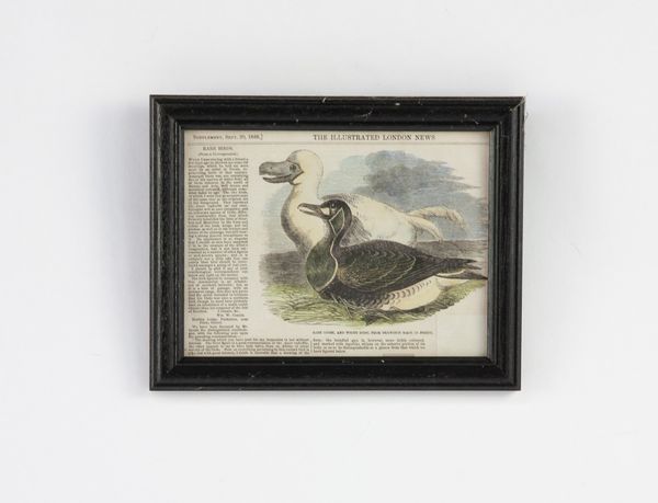 Print from The Illustrated London News