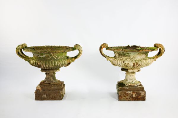 A rare pair of Coalbrookdale cast iron urns