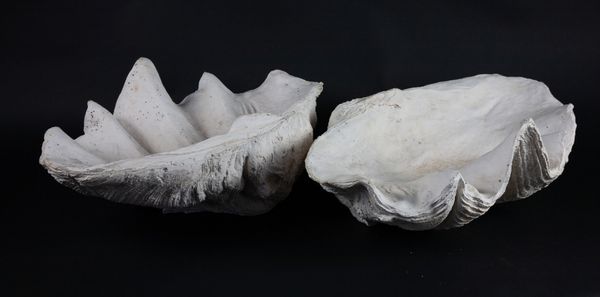 A pair of replica giant clam shells