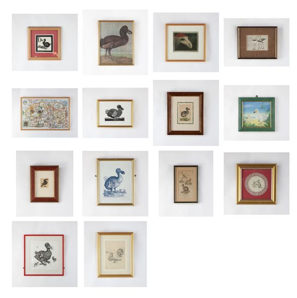 A collection of fourteen Dodo paintings and prints including: