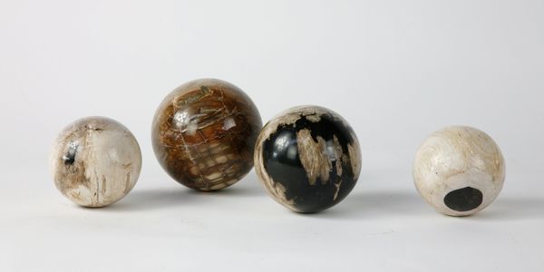 Four fossil wood spheres